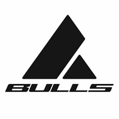 logo-Bulls